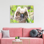 角素晴らしフクロウ キャンバスプリント (インサイチュ (リビング))