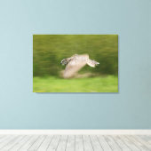 角素晴らしフクロウ キャンバスプリント (インサイチュ (ウッドフロア))