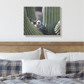 角素晴らしフクロウ キャンバスプリント (インサイチュ (寝室))