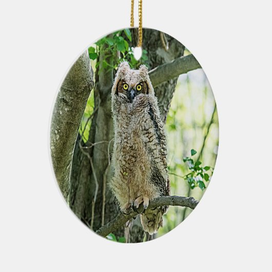 角素晴らしフクロウ セラミックオーナメント (右)