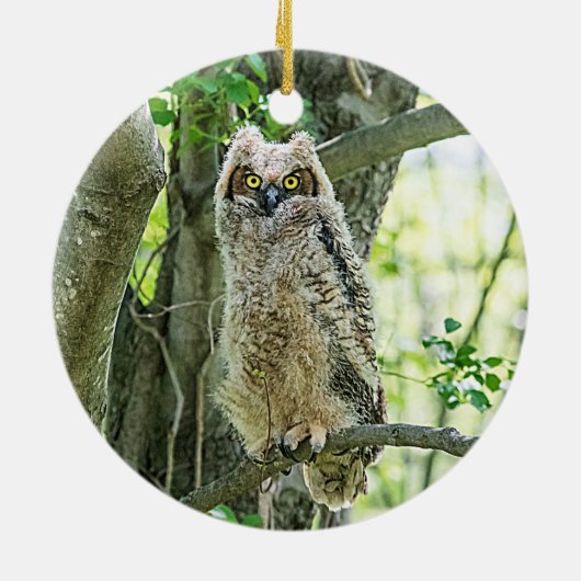 角素晴らしフクロウ セラミックオーナメント (裏面)