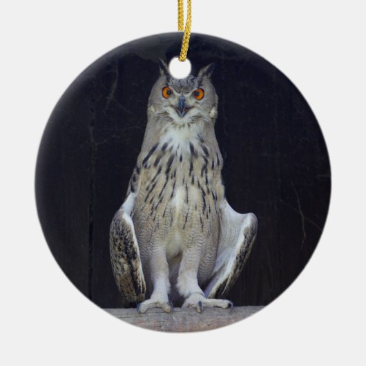 角素晴らしフクロウ セラミックオーナメント (正面)