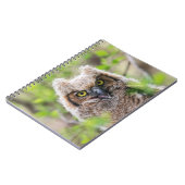 角素晴らしフクロウ ノートブック (左側)