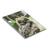 角素晴らしフクロウ ノートブック (右側)
