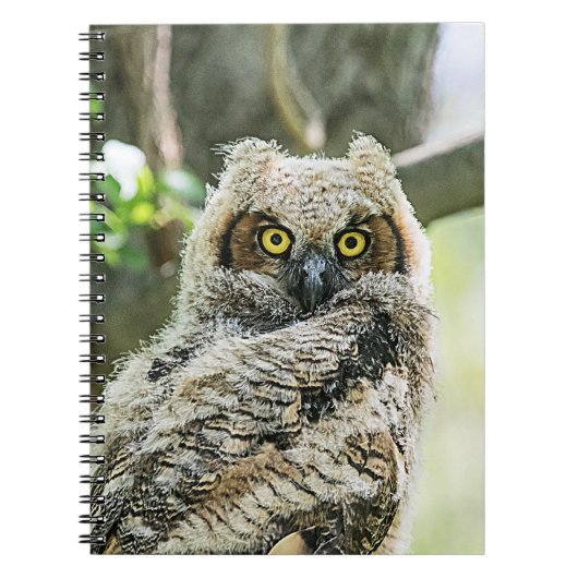 角素晴らしフクロウ ノートブック (正面)