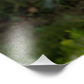 角素晴らしフクロウ フォトプリント            (角)