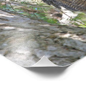 角素晴らしフクロウ フォトプリント            (角)