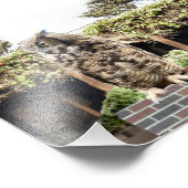 角素晴らしフクロウ フォトプリント            (角)