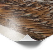 角素晴らしフクロウ フォトプリント            (角)