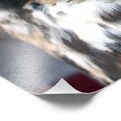 角素晴らしフクロウ フォトプリント            (角)