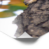 角素晴らしフクロウ フォトプリント (角)