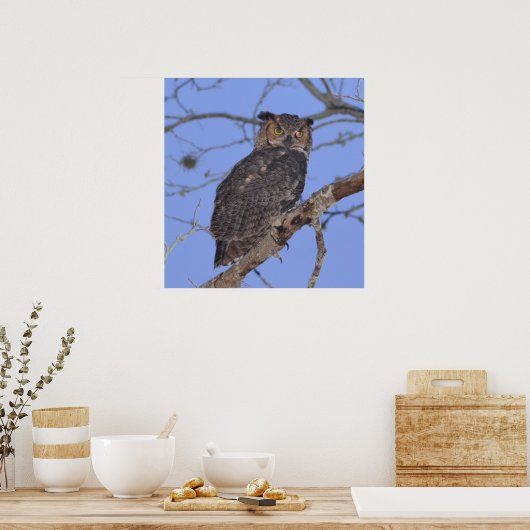 角素晴らしフクロウ ポスター (キッチン)