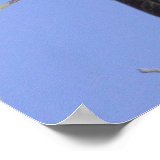 角素晴らしフクロウ ポスター (角)