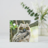 角素晴らしフクロウ ポストカード (スタンド正面)