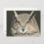 角素晴らしフクロウ ポストカード (正面/裏面)