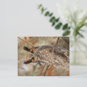 角素晴らしフクロウ ポストカード (スタンド正面)