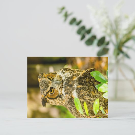 角素晴らしフクロウ ポストカード (スタンド正面)