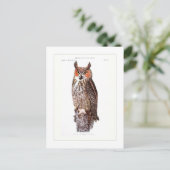 角素晴らしフクロウ ポストカード (スタンド正面)