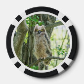 角素晴らしフクロウ ポーカーチップ (裏面)