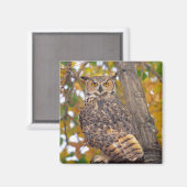 角素晴らしフクロウ マグネット (正面/裏面)