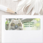 角素晴らしフクロウ ラベル (インサイチュ)