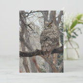 角素晴らしフクロウ – Number 3 シーズンカード (スタンド正面)