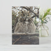 角素晴らしフクロウ – Number 4 Big Floof シーズンカード (スタンド正面)