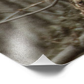 角素晴らし付きオウレット – 野生生物写真 フォトプリント            (角)