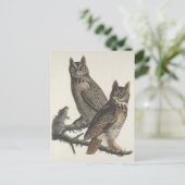 角素晴らし付きフール不気味ヴィンテージイラストレーション ポストカード (スタンド正面)