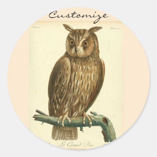 角素晴らし付きOwlThunder_Cove ラウンドシール (正面)