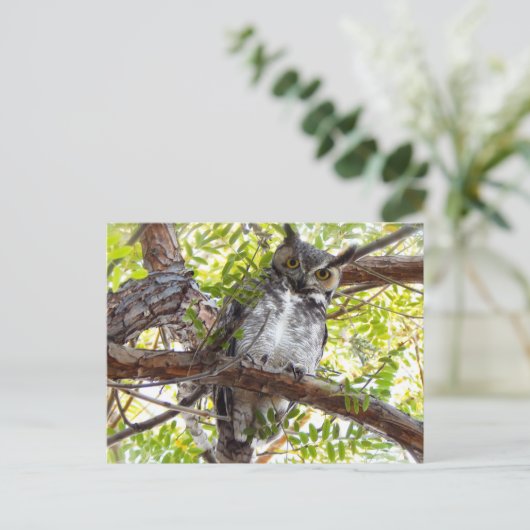 角素晴らし型フクロウの下を見る ポストカード (スタンド正面)