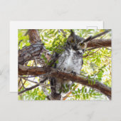 角素晴らし型フクロウの下を見る ポストカード (正面/裏面)