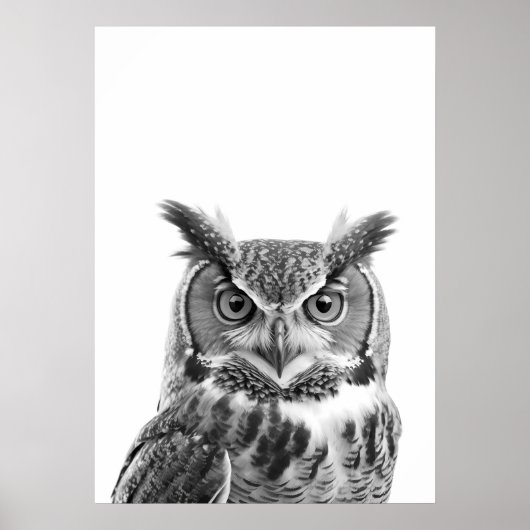 角素晴らし型フクロウポートレート白黒 ポスター (正面)