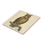 角素晴らし型フクロウThunder_Cove タイル (側面)