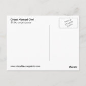 角素晴らし素晴らしフクロウ葉書 ポストカード (裏面)