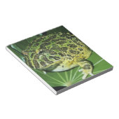 角華美のカエル(Ceratophrys ornata) ノートパッド (アングル)