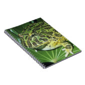 角華美のカエル(Ceratophrys ornata) ノートブック (右側)