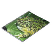 角華美のカエル(Ceratophrys ornata) ノートブック (左側)