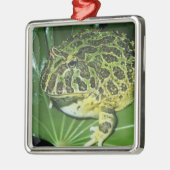 角華美のカエル(Ceratophrys ornata) メタルオーナメント (左)