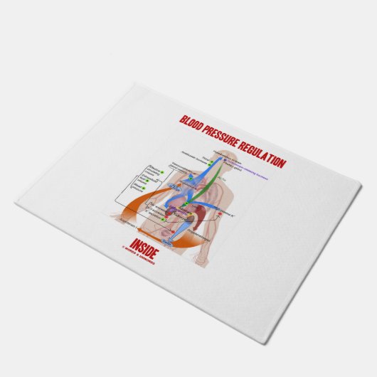 解剖の中の血圧の規則 ドアマット (アングル)