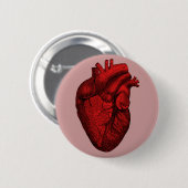 解剖人間のハート 缶バッジ (正面&裏面)