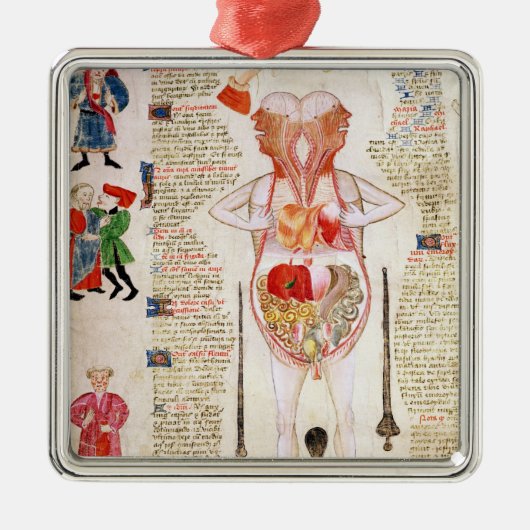 解剖図表 メタルオーナメント (正面)