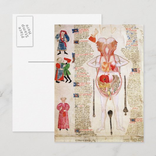 解剖図 ポストカード (正面/裏面)