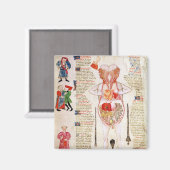 解剖図 マグネット (正面/裏面)