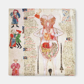 解剖図 マグネット (正面)