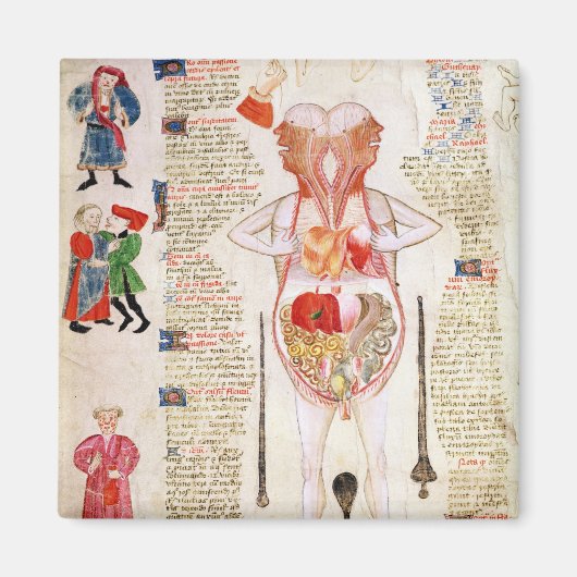 解剖図 マグネット (正面)