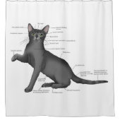 解剖学おもしろい猫 シャワーカーテン (正面)