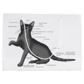 解剖学おもしろい猫 ラージペーパーバッグ (裏面)