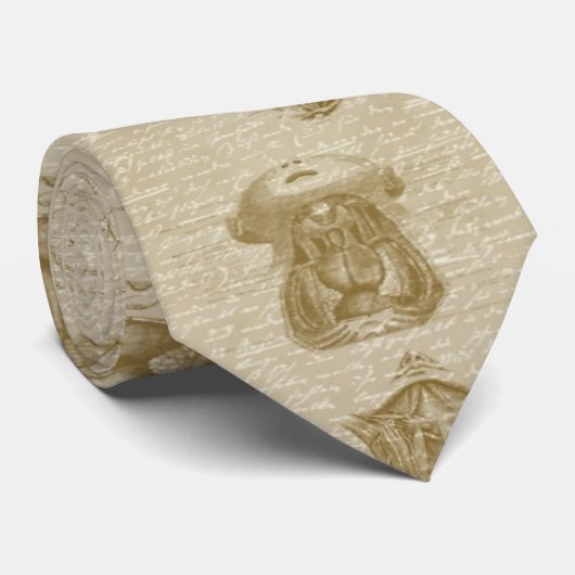 解剖学のタイ ネクタイ (ロール)