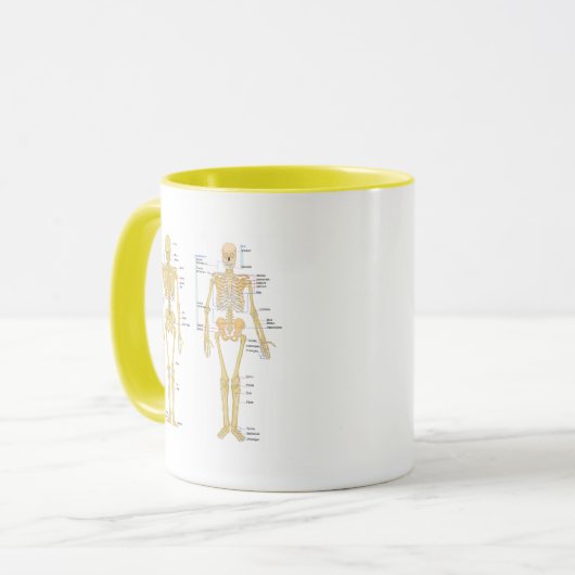解剖学の図表と分類される人間の骨組 マグカップ (正面左)